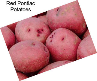 Red Pontiac Potatoes