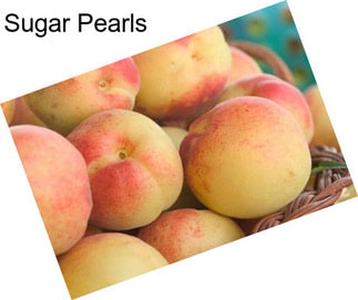 Sugar Pearls