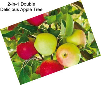 2-in-1 Double Delicious Apple Tree