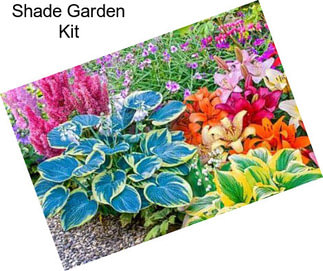Shade Garden Kit