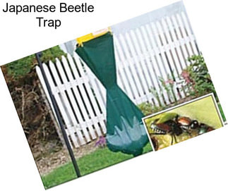 Japanese Beetle Trap