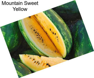 Mountain Sweet Yellow