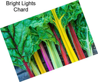 Bright Lights Chard