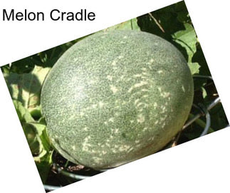 Melon Cradle