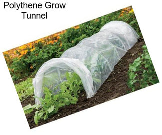 Polythene Grow Tunnel