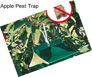 Apple Pest Trap