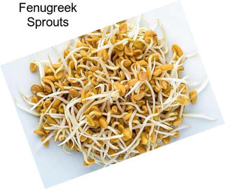 Fenugreek Sprouts