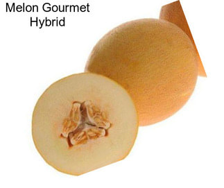 Melon Gourmet Hybrid