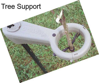 Tree Support