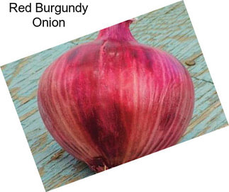 Red Burgundy Onion