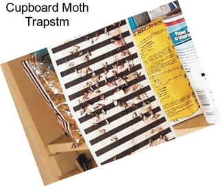 Cupboard Moth Trapstm