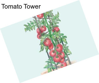 Tomato Tower