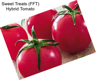 Sweet Treats (FFT) Hybrid Tomato