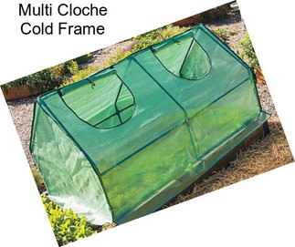 Multi Cloche Cold Frame