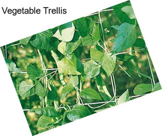 Vegetable Trellis