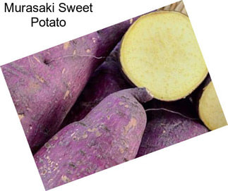 Murasaki Sweet Potato
