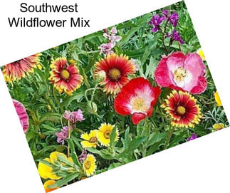 Southwest Wildflower Mix
