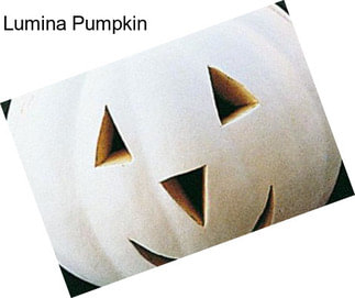 Lumina Pumpkin