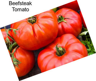 Beefsteak Tomato