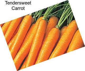 Tendersweet Carrot