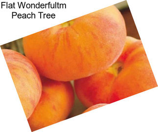 Flat Wonderfultm Peach Tree