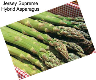 Jersey Supreme Hybrid Asparagus