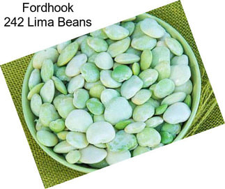 Fordhook 242 Lima Beans