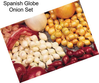 Spanish Globe Onion Set