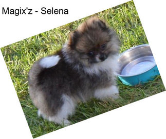 Magix\'z - Selena