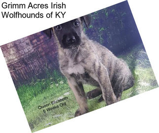 Grimm Acres Irish Wolfhounds of KY