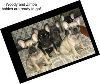 Woody and Zimba babies are ready to go!