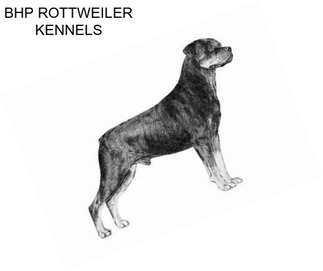 BHP ROTTWEILER KENNELS