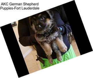 AKC German Shepherd Puppies-Fort Lauderdale