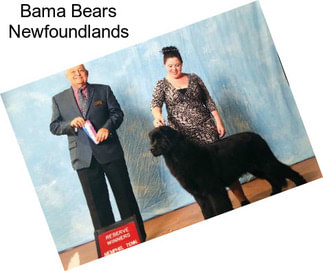 Bama Bears Newfoundlands