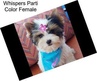 Whispers Parti Color Female