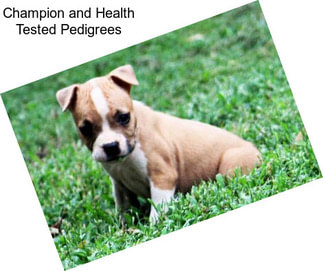 Champion and Health Tested Pedigrees