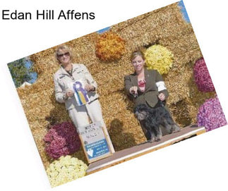 Edan Hill Affens