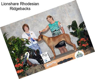 Lionshare Rhodesian Ridgebacks
