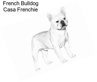 French Bulldog Casa Frenchie