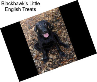 Blackhawk\'s Little English Treats