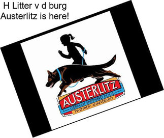 H Litter v d burg Austerlitz is here!