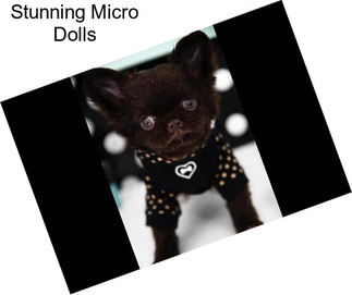 Stunning Micro Dolls