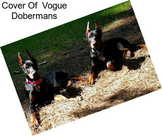 Cover Of  Vogue Dobermans