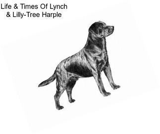 Life & Times Of Lynch & Lilly-Tree Harple