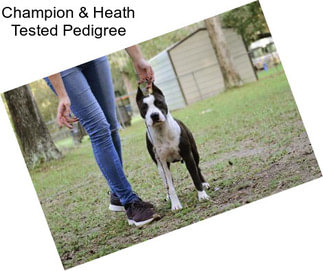 Champion & Heath Tested Pedigree