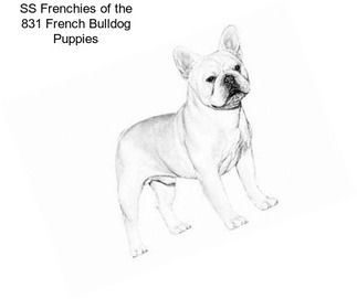 SS Frenchies of the 831 French Bulldog Puppies