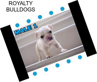 ROYALTY BULLDOGS