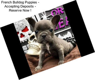 French Bulldog Puppies - Accepting Deposits - Reserve Now !