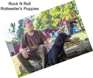Rock N Roll Rottweiler\'s Puppies