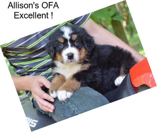 Allison\'s OFA Excellent !